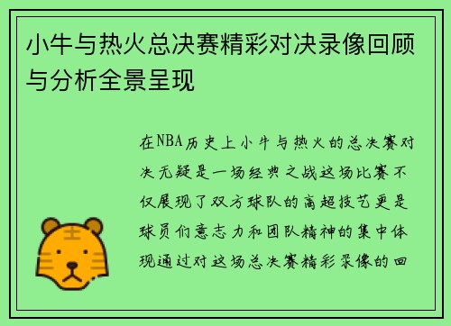 小牛与热火总决赛精彩对决录像回顾与分析全景呈现